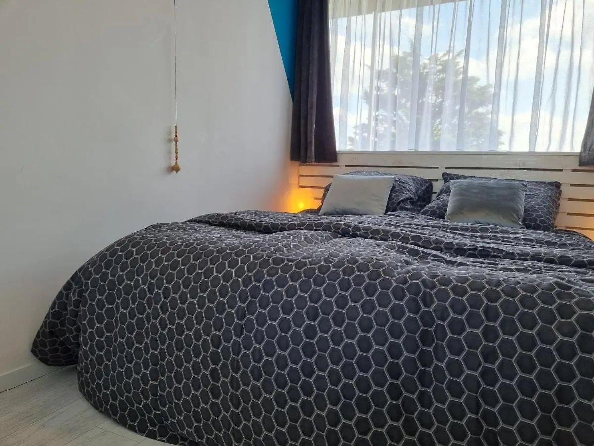De Schelp 73 The Perfect Place! 잔드보르트