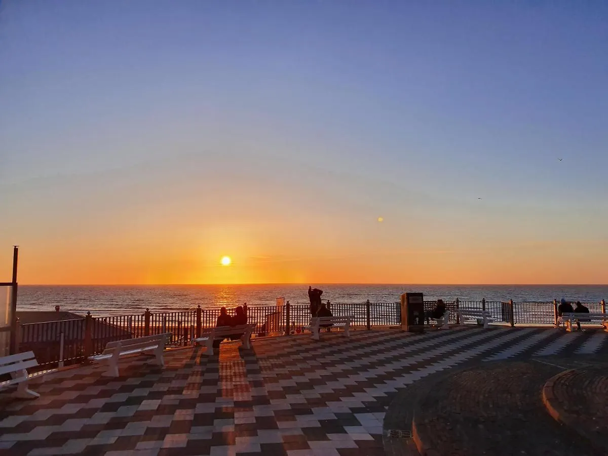 Apartment De Schelp 73 The Perfect Place! Zandvoort